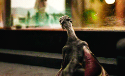 joshutchersonn:                Time Warner Cable commercial featuring Daenerys Targaryen and Drogon. (x) 