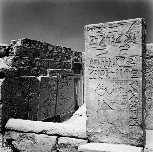 Stele of King UnasView of a stele inside the Funerary Complex of King Unas, last ruler of the 5th Dy