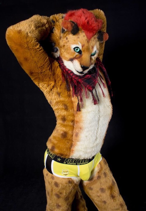 My bud, Cheetah Paws doing some sexy poses. ;PCheck out his Twitter! (♂ Link)***Not a Murrsuit.***~F