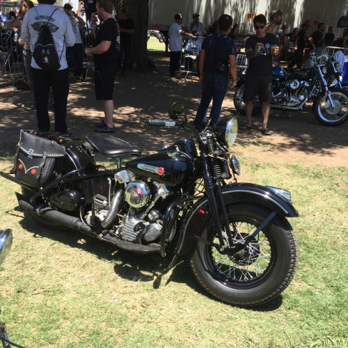 #bornfree #harleydavidson #chopper (at Oak Canyon Park)