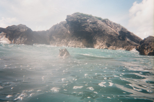 immersed
