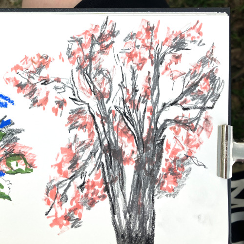 77/100 Feel Somehow Connected To The Trees Thats Why I Draw Them Often (also A Bit Too Tired To Open