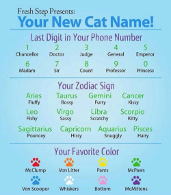 zillah1199:  How Anders Chooses Cat Names,