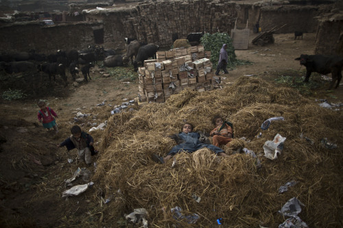 Afghan refugee children lie on a pile of straw gathered for the livestock, while playing in a poor n