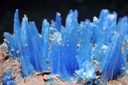 sixpenceee:  Deadly Rocks: Chalcanthite Chalcanthite crystals broken down and introduced to water weakens and kills both animal and plant life by shutting down their vital functions. In this form, it was used formerly to clear ponds of plant growth.