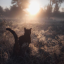 lonely-stranger-blog