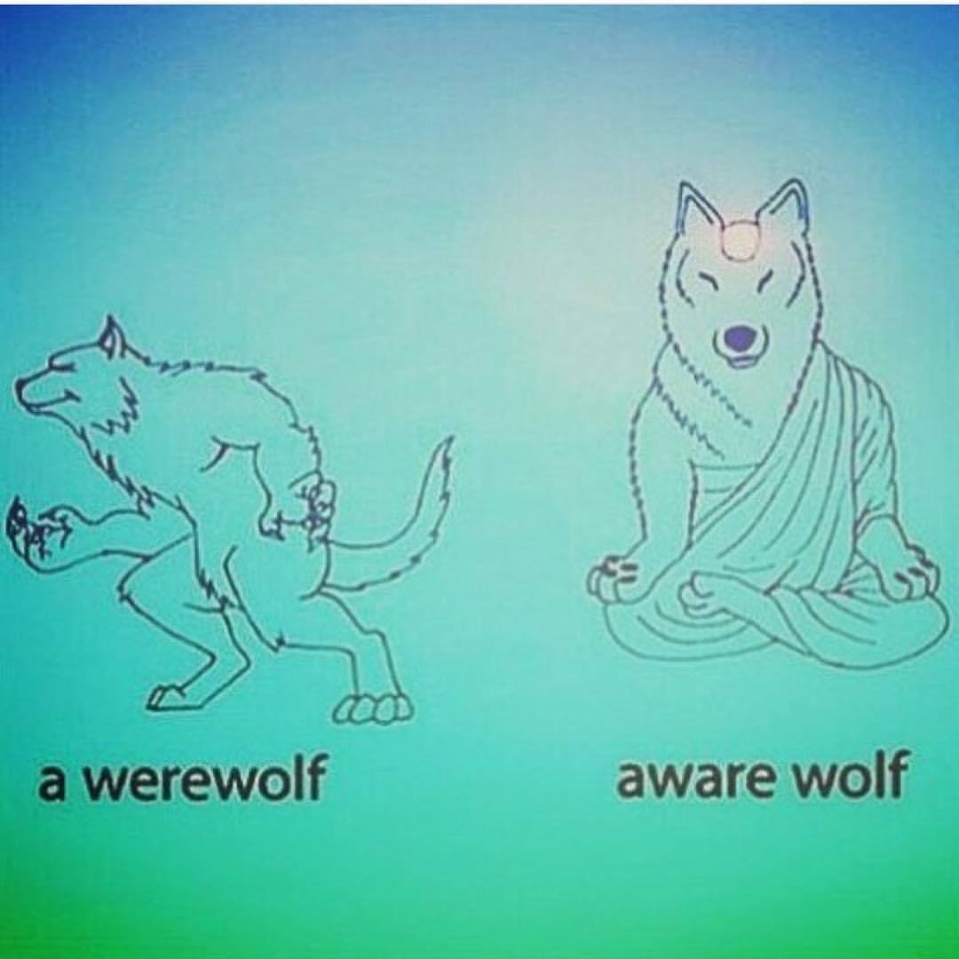 Are you a werewolf or an aware wolf? 😊👁🌀 lol #awareness #meditation #pinealgland
