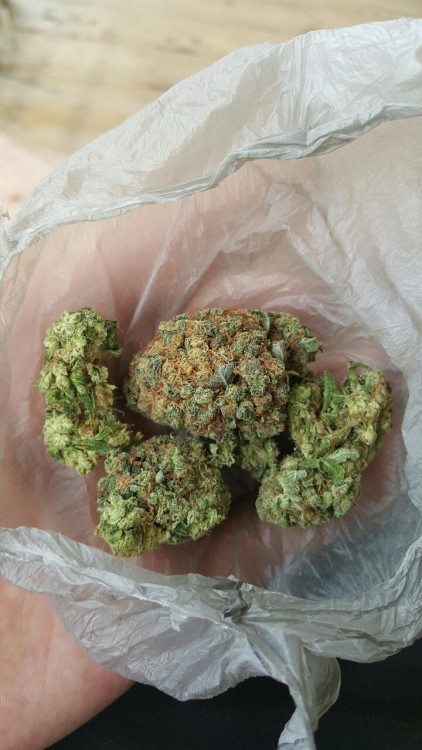 red-beard-tells-no-tales:  Some beautiful Pineapple Express.  