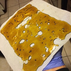 clearlyadvanced:  Happy #Shatterday.