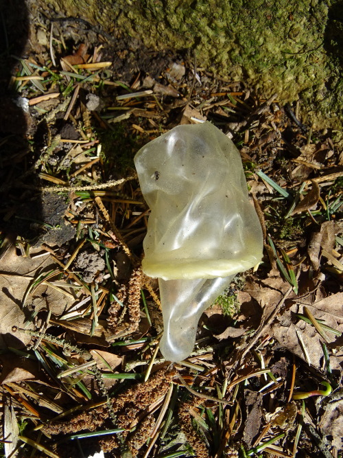 throwncondom:  Autoroute Liège-Namur, parking près de Fernelmont, avril 2015. Un merveilleux endroit pour le chasseur de capotes, non?*****Liège-Namur highway, parking near Fernelmont, April 2015. A wonderful place for condoms hunter, right?