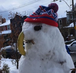 elasticitymudflap: please look at this fucking snowman my little brother and his friends made
