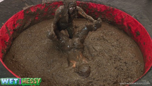 wampicsandgifs:  wetandmessy.com 