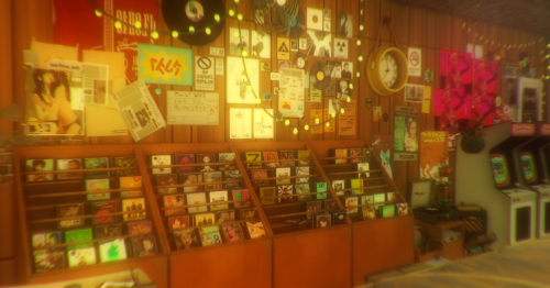Elijah's Record Store