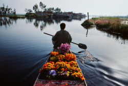 mid-westified:Steve McCurry, flower vendor