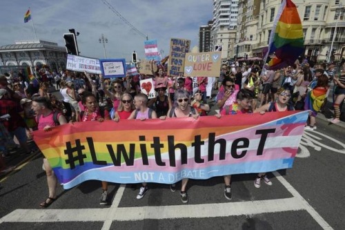 bottomsona:heyy i just wanted to send u a picture of my friends leading the Brighton pride parade (t