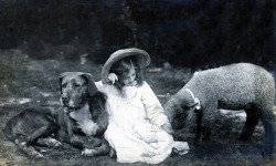 vintageeveryday:
“Best friends, circa 1900.
”