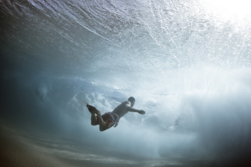 Porn photo likeafieldmouse:  Mark Tipple - The Underwater