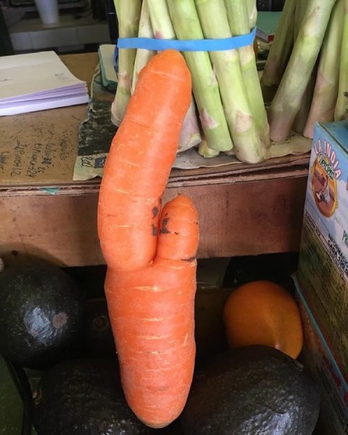 ariescub10:  The things that you find at the mercado Lazaro Cardenas. The people behind me were laughing because I took this pic, but I don’t know why…. it’s just a carrot! 🐰🐰🐰 #funkycarrot