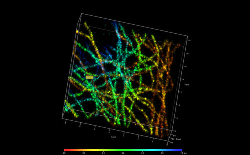 3D PALM Superresolution microscopy of alpha-tubulin | ZEISS Microscopy 