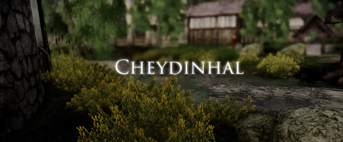 fairyberries: Found this alternative set for Cheydinhal in my drafts and decided to post it.