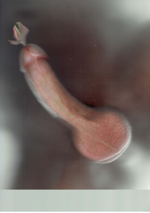 joshtaylorartist:  Flower Penis_03May 2014 Joshua Taylor Body parts on scanner bed. 