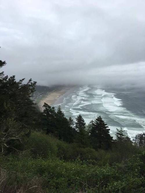 View of the Pacific Ocean at the top of Neahkahnie Mountain on the Oregon Coast