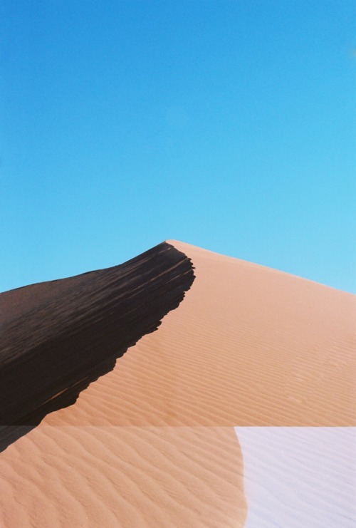 williamjiraiya:  Deadvlei / 35mm  i want to paint these images so badly that it kills me to look at 
