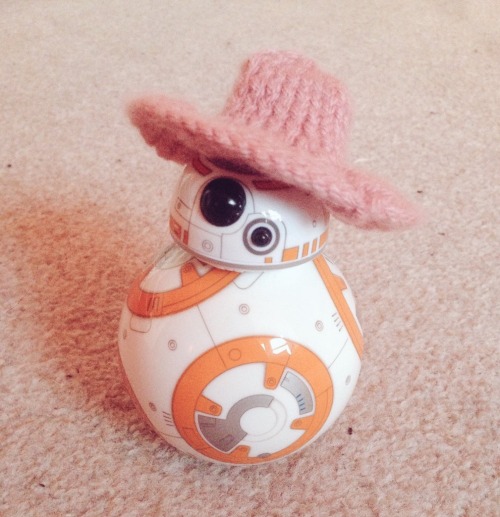 scuzefuze: tobio: its super cold so i made these to keep bb8 warm @fuck-arl-eamon