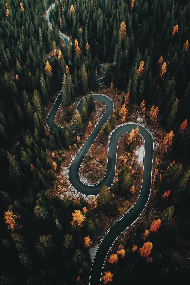 (by eberhard 🖐 grossgasteiger) #vertical#landscape#x#a#watsf #curators on tumblr #eberhard grossgasteiger#road#trees#forest#woods#Passo Giau#Italy