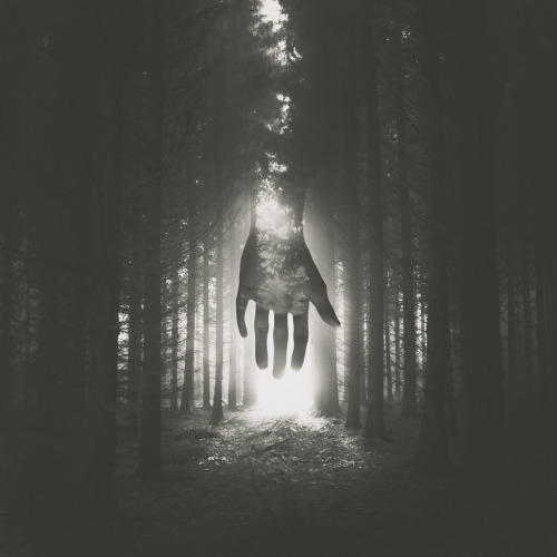 brutalgeneration:  14/365 Untitled (by Lloyd Revald)