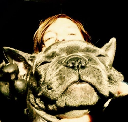 bigbaldhead:  🐼