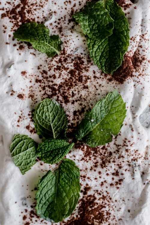 sweetoothgirl:  FRESH MINT GANACHE TART  