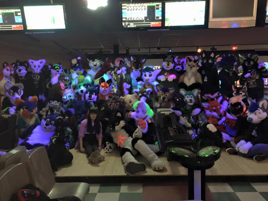 gamma-the-penguin:  needlekind:  needlekind:  needlekind:  WE WENT BOWLING AFTER DINNER FOR MY BIRTHDAY AND THERE WERE LIKE FORTY FURRIES THERE DOING, LIKE, SOMETHING OR ANOTHER I DON’T EVEN KNOW BUT THEY WERE BOWLING IN THEIR FURSUITS AND DOING VERY