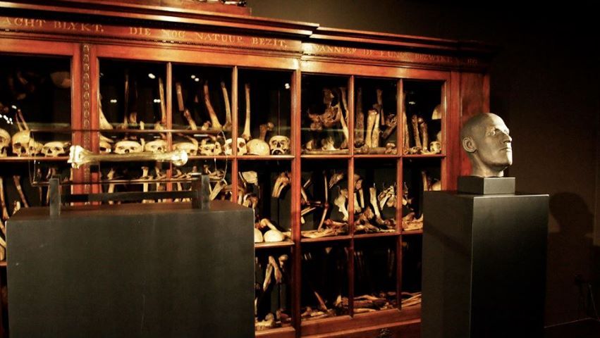 cartilage-and-fluid:  pythox:  Vrolik Museum, Amsterdam  I kind of want to live there