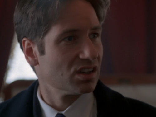 The signs as our favorite out-of-context x-files screen-caps.