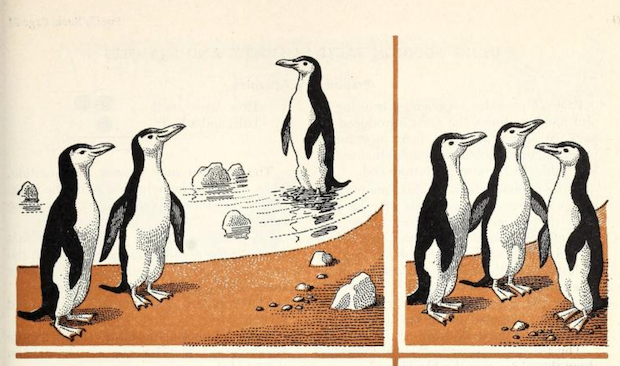nemfrog:  Penguins together. Making Sure of Arithmetic - Book One, Teacher’s Edition.