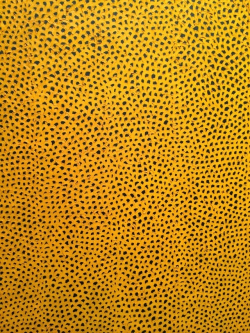 Yayoi Kusama, Infinity Nets Yellow, 1960oil on canvasmore