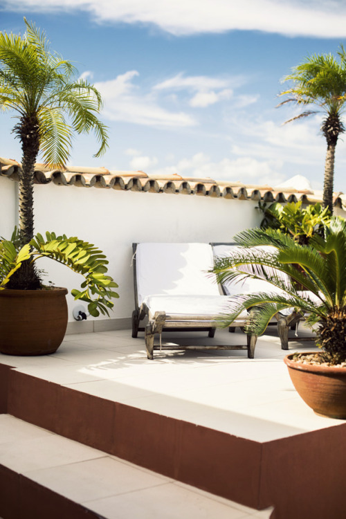 annstreetstudio:  It comes as no surprise that a city as magical as Salvador da Bahia would have a boutique hotel just as enchanting…in the charming Hotel Villa Bahia, I felt nothing but inspiration…      