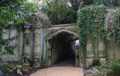 congenitaldisease:Highgate Cemetery was a very popular cemetery in Victorian times, but since then i