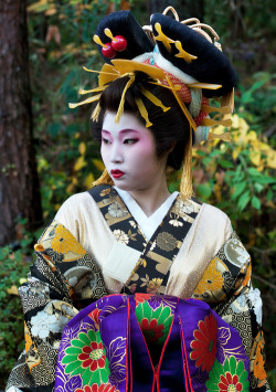 Miyako Odori