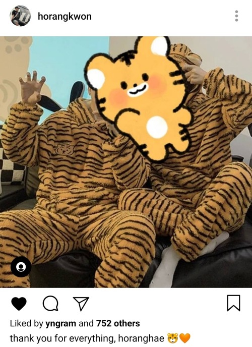 Stupid Tiger Obsession, Kwon Soonyoung.