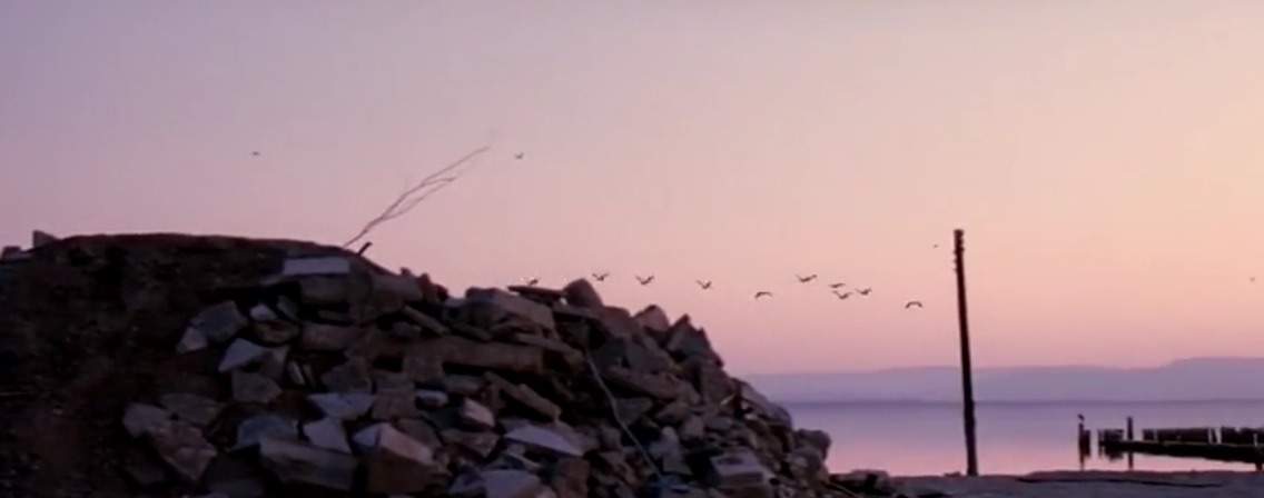 odd-film-stills:  “I traveled halfway across the world to find out that people