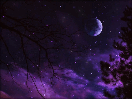 ⋆˖⁺‧₊☽🌑☾₊‧⁺˖⋆
