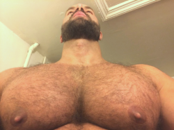 eyepokers2die4:  Just the right amount of fur.  And the nipples and pec size speak for themselves.