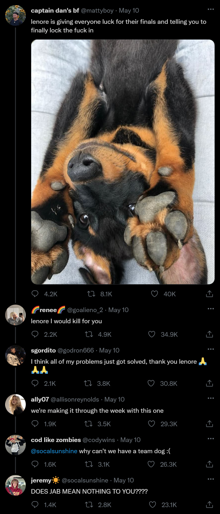 Tumblr media
