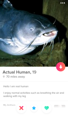 tinderventure:Seems legit