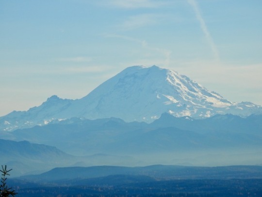 emphatic-nomadic:  Mt. Rainier as seen from Squak Mountain a few weeks ago