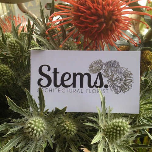 Logo design for Stems flower shop at Sycamore Bar in Brooklyn, NY.Check them out at Facebook and Wor