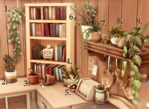 Hi!! Wcif The Plant On The Right Side Of The Shelf In Your Last Post? Is It From The Plant Kit Or A Separated