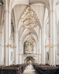 vivalcli:  Augustinerkirche, Vienna, Austria 